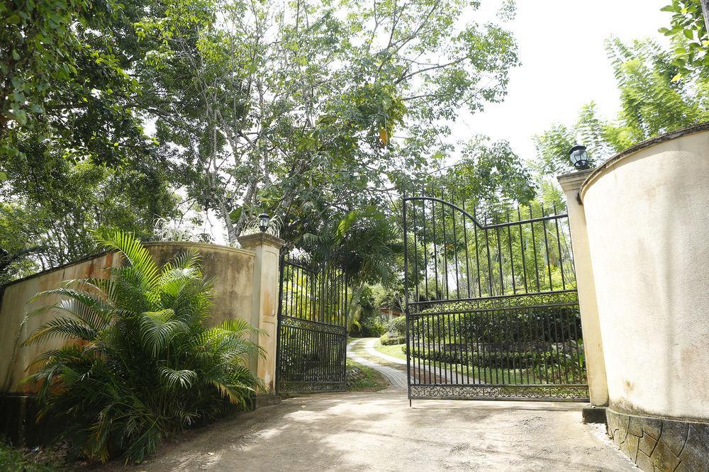 Oriole Villas Μπεντότα Εξωτερικό φωτογραφία