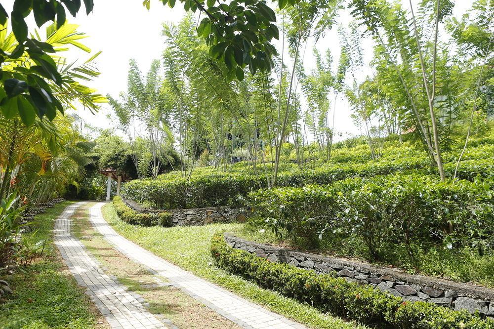Oriole Villas Μπεντότα Εξωτερικό φωτογραφία